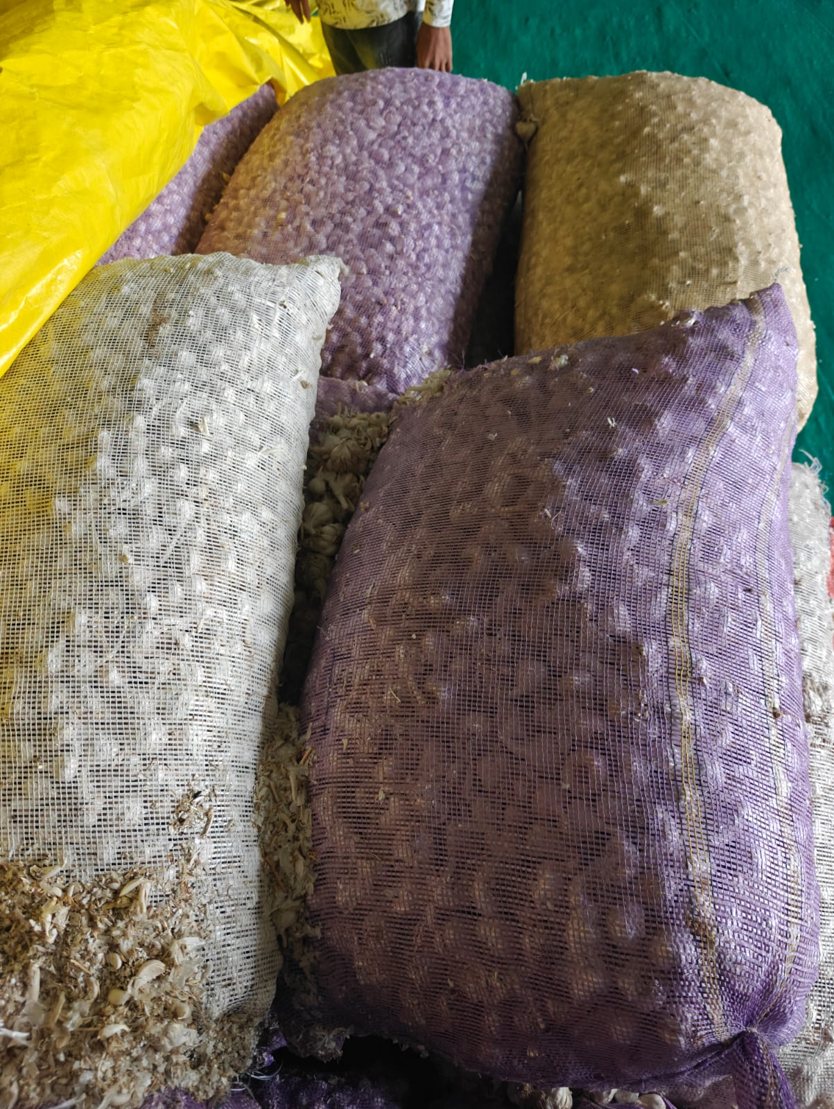 Export Ready Garlic - Krishna Trader